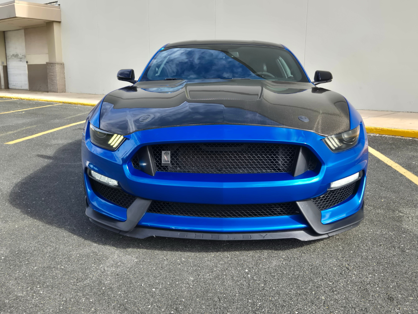 listing image #4